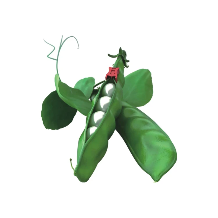 40270
