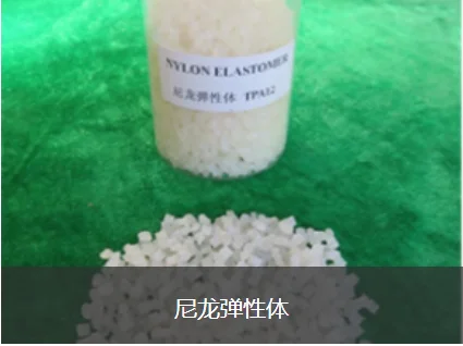 透明容器中的TPA32热塑性聚酰胺弹性体颗粒，展示材料形态 - SHANDONG DONGCHEN NEW TECHNOLOGY CO.,LTD. | Cpsemarketplace