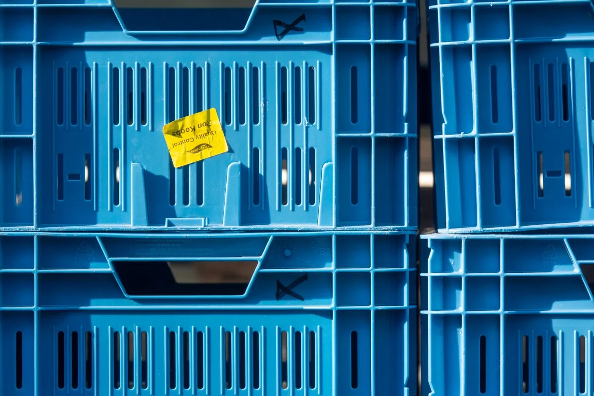 Caisses en plastique réutilisables bleues empilables avec parois ventilées et structure emboîtable pour un stockage efficace - Pexels


